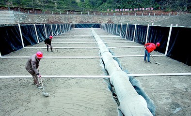 犟河黄龙人工湿地预计年底可投入运行