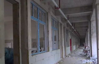 9月1日交付使用 新沂城区又一新建小学正在装修中 建设 9月1日交付使用 新沂城区又一新建小学正在装修中 建设