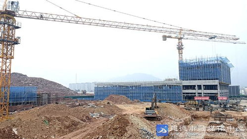 建德新农都农产品批发市场项目施工进展顺利