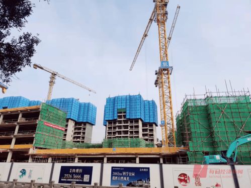 353套房源10天仅认购1套 每经实探深圳2022年首个新盘 周边基础配套薄弱,价格比附近楼盘高近5000元