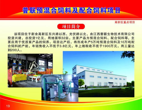 50个重大项目启动 329亿元 涉及节能环保 学校建设 棚户区改造 商业街提升...