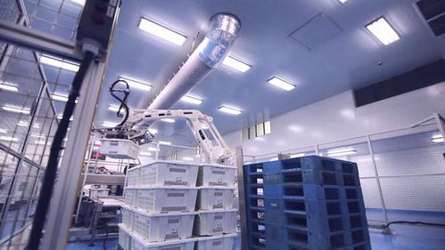 周黑鸭连续三年登榜武汉制造业100强